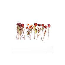 Lade das Bild in den Galerie-Viewer, Getrocknete Blumen Sticker für Dekorationen, Basteln und Bullet Journals - selley.de