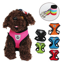 Lade das Bild in den Galerie-Viewer, Geschirr und Leine für Hunde & Katzen - [product_type - selley.de