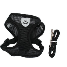 Lade das Bild in den Galerie-Viewer, Geschirr und Leine für Hunde & Katzen - [product_type - selley.de