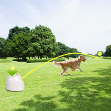 Lade das Bild in den Galerie-Viewer, Ballwurf Maschine für Spiele, Freizeit und Haustiere - [product_type - selley.de