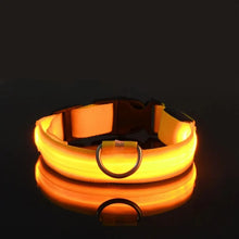 Lade das Bild in den Galerie-Viewer, LED Halsband | Leuchtend &amp; Sicher bei Nacht für ihren Liebling - [product_type - selley.de
