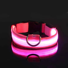 Lade das Bild in den Galerie-Viewer, LED Halsband | Leuchtend &amp; Sicher bei Nacht für ihren Liebling - [product_type - selley.de
