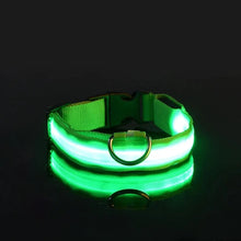 Lade das Bild in den Galerie-Viewer, LED Halsband | Leuchtend &amp; Sicher bei Nacht für ihren Liebling - [product_type - selley.de
