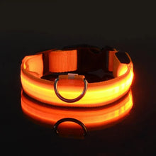 Lade das Bild in den Galerie-Viewer, LED Halsband | Leuchtend &amp; Sicher bei Nacht für ihren Liebling - [product_type - selley.de
