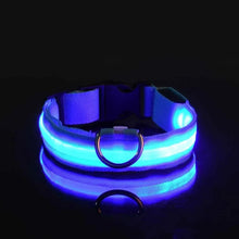 Lade das Bild in den Galerie-Viewer, LED Halsband | Leuchtend &amp; Sicher bei Nacht für ihren Liebling - [product_type - selley.de
