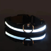 Lade das Bild in den Galerie-Viewer, LED Halsband | Leuchtend &amp; Sicher bei Nacht für ihren Liebling - [product_type - selley.de
