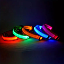 Lade das Bild in den Galerie-Viewer, LED Halsband | Leuchtend &amp; Sicher bei Nacht für ihren Liebling - [product_type - selley.de
