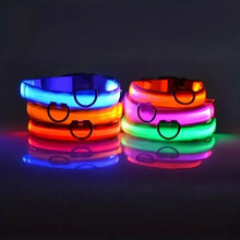 Lade das Bild in den Galerie-Viewer, LED Halsband | Leuchtend &amp; Sicher bei Nacht für ihren Liebling - [product_type - selley.de
