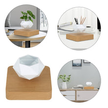 Lade das Bild in den Galerie-Viewer, Schwebender Blumentopf | Magnetischer Pflanzen Topf - [product_type - selley.de
