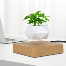 Lade das Bild in den Galerie-Viewer, Schwebender Blumentopf | Magnetischer Pflanzen Topf - [product_type - selley.de
