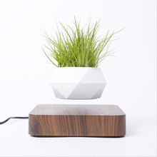 Lade das Bild in den Galerie-Viewer, Schwebender Blumentopf | Magnetischer Pflanzen Topf - [product_type - selley.de
