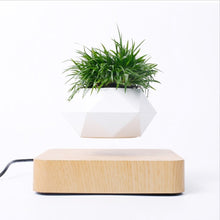 Lade das Bild in den Galerie-Viewer, Schwebender Blumentopf | Magnetischer Pflanzen Topf - [product_type - selley.de
