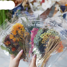 Lade das Bild in den Galerie-Viewer, Getrocknete Blumen Sticker für Dekorationen, Basteln und Bullet Journals - selley.de
