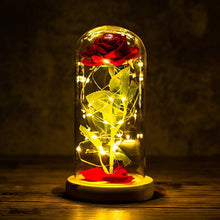 Lade das Bild in den Galerie-Viewer, Ewige Rose im Glas | Das perfekte Valentinstags Geschenk - [product_type - selley.de
