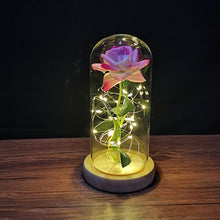 Lade das Bild in den Galerie-Viewer, Ewige Rose im Glas | Das perfekte Valentinstags Geschenk - [product_type - selley.de
