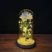 Lade das Bild in den Galerie-Viewer, Ewige Rose im Glas | Das perfekte Valentinstags Geschenk - [product_type - selley.de
