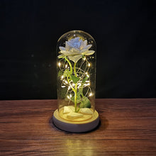 Lade das Bild in den Galerie-Viewer, Ewige Rose im Glas | Das perfekte Valentinstags Geschenk - [product_type - selley.de
