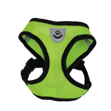 Lade das Bild in den Galerie-Viewer, Geschirr und Leine für Hunde &amp; Katzen - [product_type - selley.de
