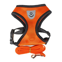 Lade das Bild in den Galerie-Viewer, Geschirr und Leine für Hunde &amp; Katzen - [product_type - selley.de
