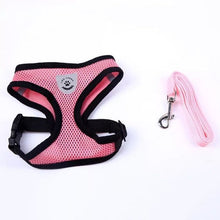 Lade das Bild in den Galerie-Viewer, Geschirr und Leine für Hunde &amp; Katzen - [product_type - selley.de
