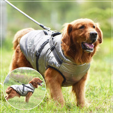 Lade das Bild in den Galerie-Viewer, Jacke &amp; Geschirr für große Hunde - selley.de
