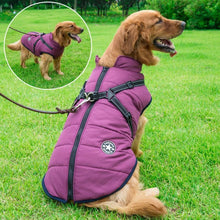 Lade das Bild in den Galerie-Viewer, Jacke &amp; Geschirr für große Hunde - selley.de
