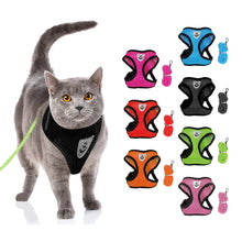 Lade das Bild in den Galerie-Viewer, Geschirr und Leine für Hunde &amp; Katzen - [product_type - selley.de
