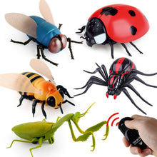 Lade das Bild in den Galerie-Viewer, Ferngesteuerte Insekten mit Fernbedienung und Infrarot Technik - [product_type - selley.de
