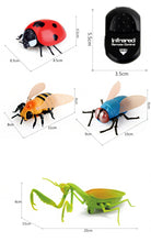 Lade das Bild in den Galerie-Viewer, Ferngesteuerte Insekten mit Fernbedienung und Infrarot Technik - [product_type - selley.de
