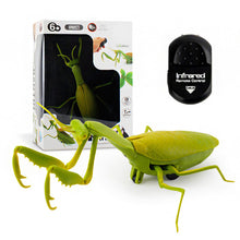 Lade das Bild in den Galerie-Viewer, Ferngesteuerte Insekten mit Fernbedienung und Infrarot Technik - [product_type - selley.de
